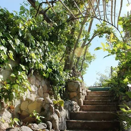 Casa De Rosa ベッド・アンド・ブレックファスト