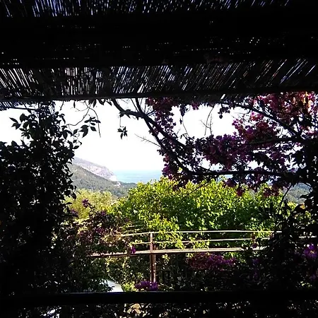Casa De Rosa Palinuro