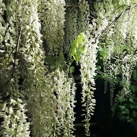 Bed & Breakfast Casa De Rosa Palinuro